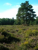 08 Sep 2013: Looking across 2A towards 2B